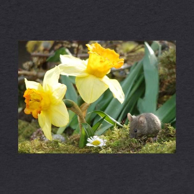 easter mouse with Daffodil by Simon-dell